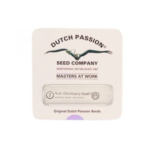 Auto Blackberry Kush