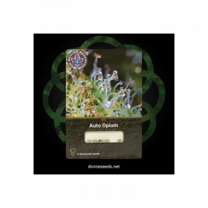 Auto Opium