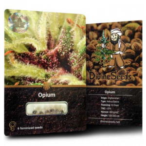 Opium